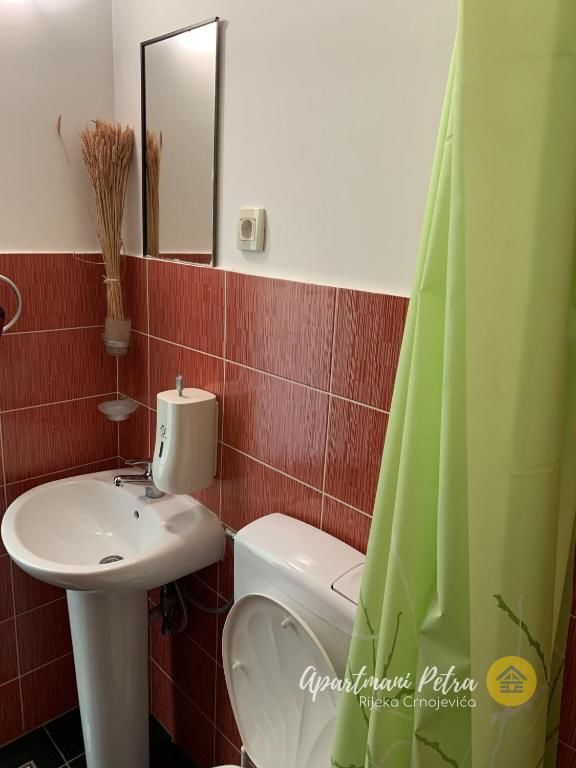 Апартаменты River View Apartments Petra Риека-Црноевича-55