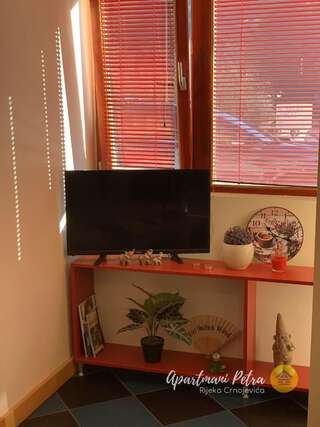 Апартаменты River View Apartments Petra Риека-Црноевича Апартаменты с 1 спальней-9