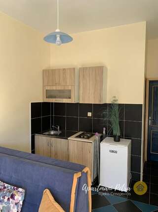 Апартаменты River View Apartments Petra Риека-Црноевича Апартаменты с 1 спальней-21