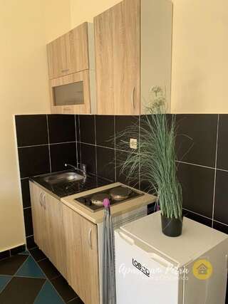 Апартаменты River View Apartments Petra Риека-Црноевича Апартаменты с 1 спальней-22
