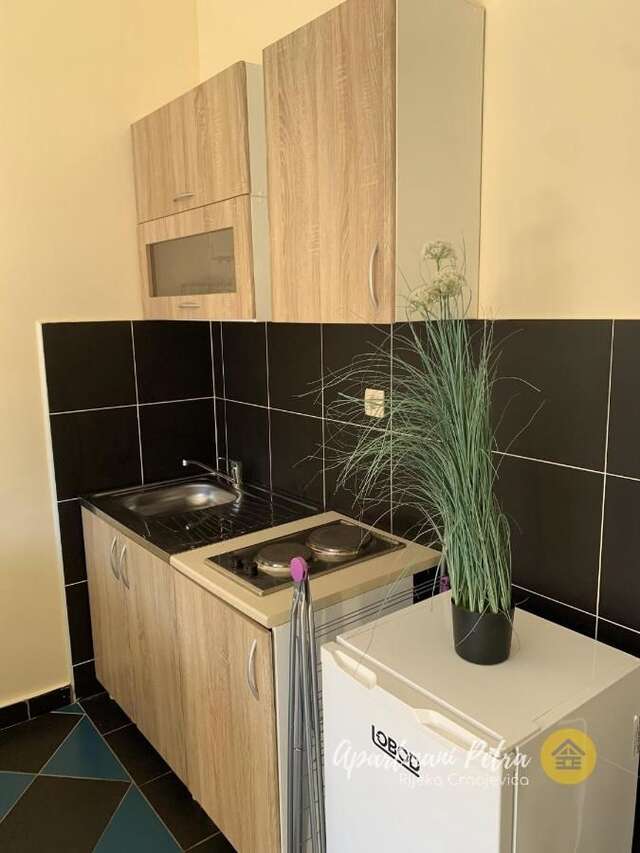 Апартаменты River View Apartments Petra Риека-Црноевича-46
