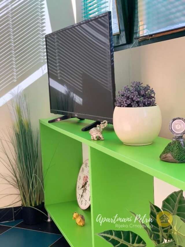 Апартаменты River View Apartments Petra Риека-Црноевича-59
