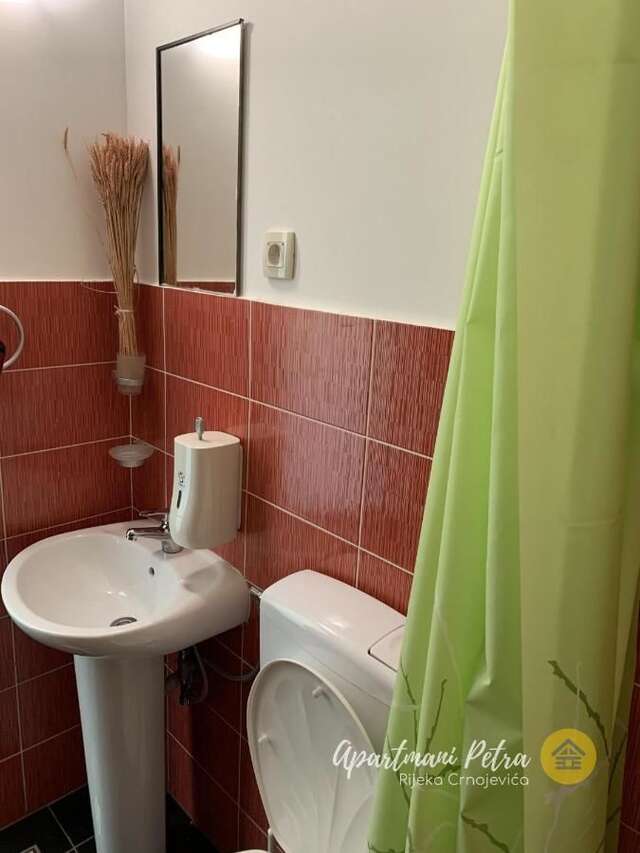 Апартаменты River View Apartments Petra Риека-Црноевича-10
